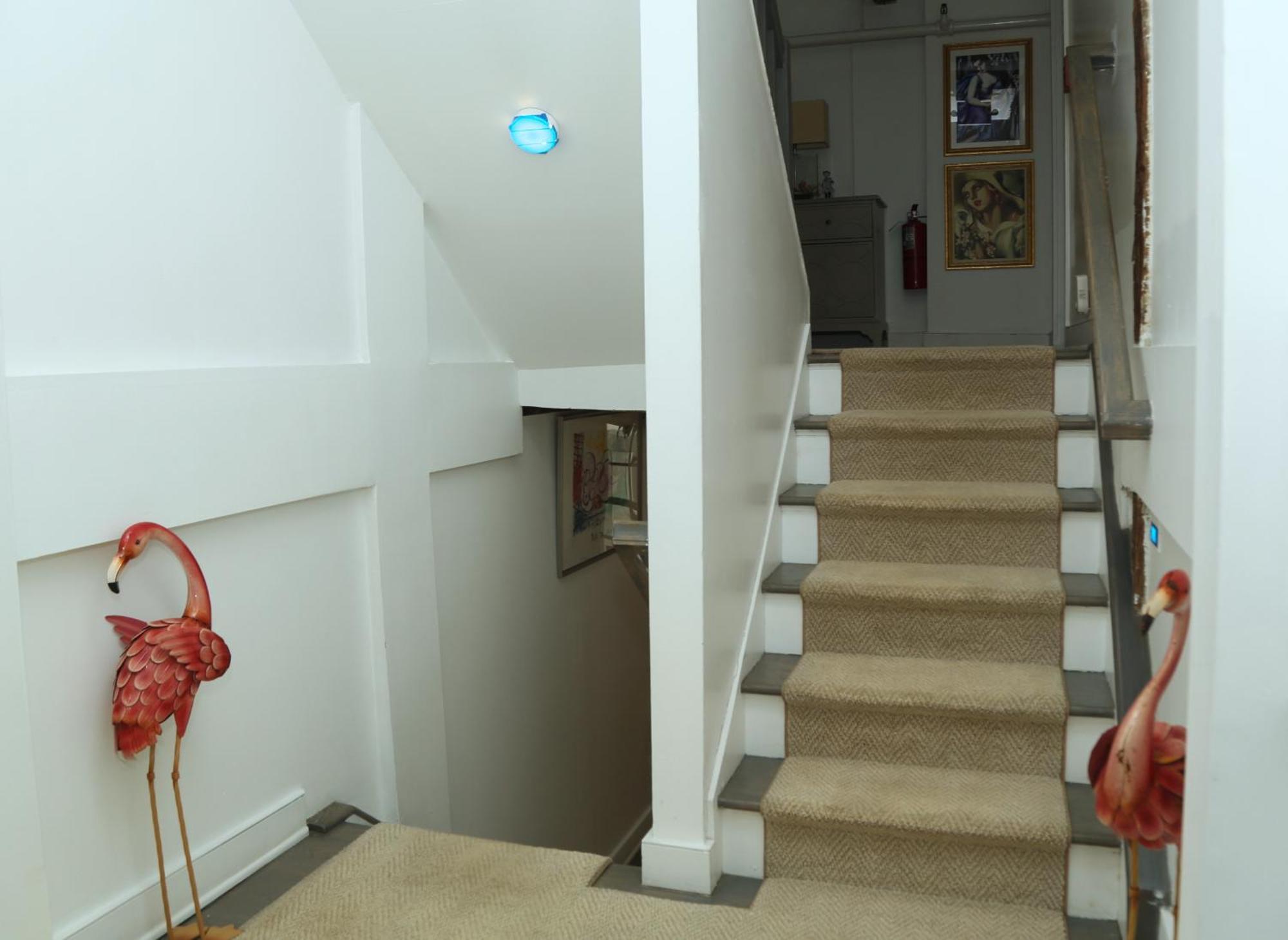 مبيت وإفطار ساوثامبتون Harpoon House المظهر الخارجي الصورة